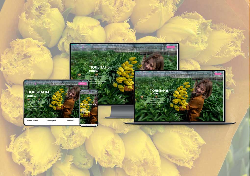 Лендинг тепличного хозяйства Tulpan34